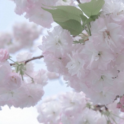 涡阳福瑞交流群